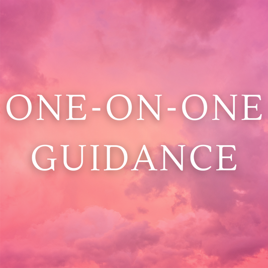 One-on-One Guidance